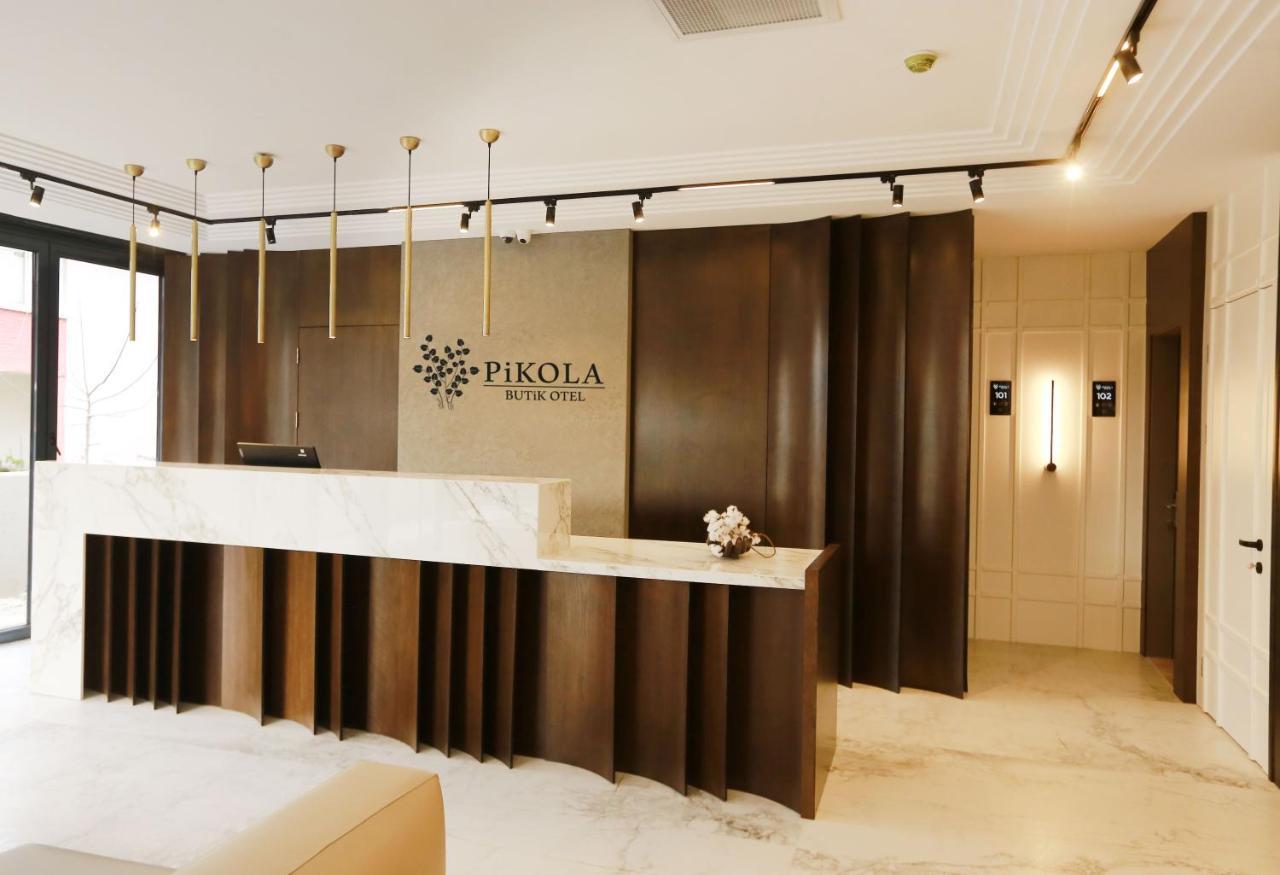 Pikola Otel Орду Экстерьер фото